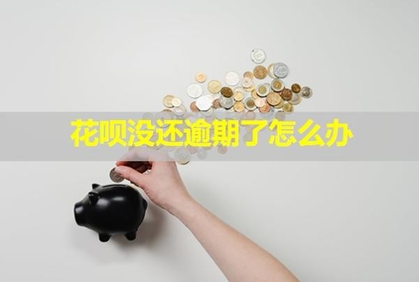 花唄沒還逾期了怎么辦？