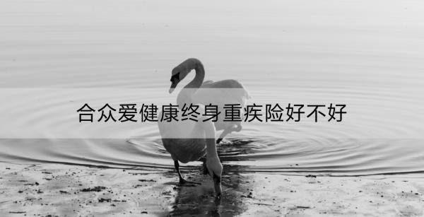 合眾愛健康終身重疾險好不好？適合什么人群？