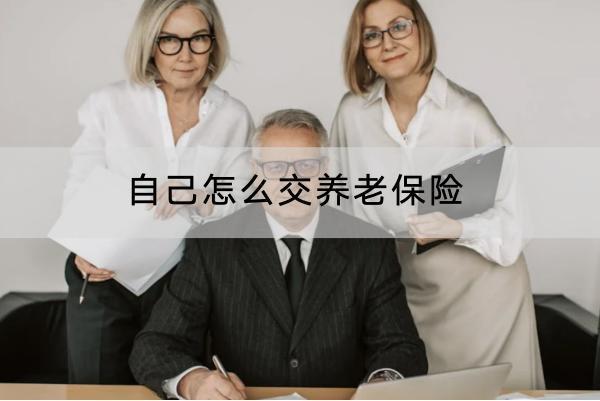 自己怎么交養(yǎng)老保險？商業(yè)養(yǎng)老保險什么產(chǎn)品好？