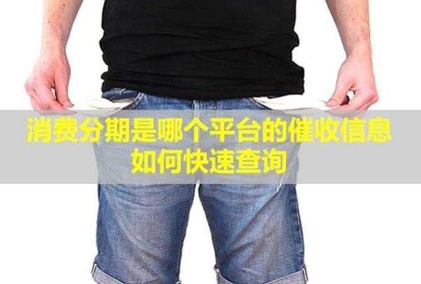 消費分期是哪個平臺的催收信息？如何快速查詢？