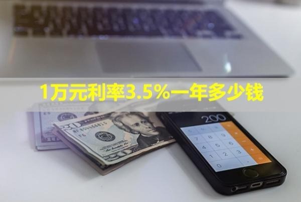1萬(wàn)元利率3.5%一年多少錢？可以協(xié)商還本金嗎？