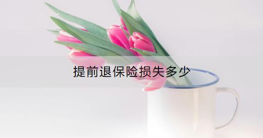 提前退保險損失多少？流程是什么？