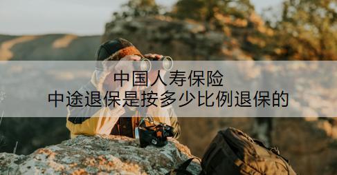 中國人壽保險中途退保是按多少比例退保的？流程是什么？