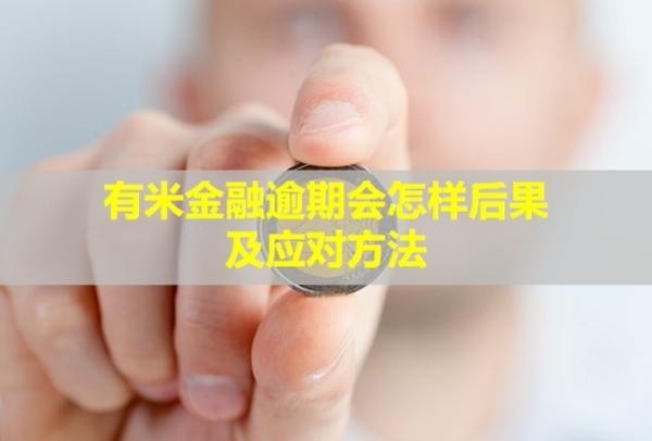 有米金融逾期會(huì)怎樣后果及應(yīng)對(duì)方法？
