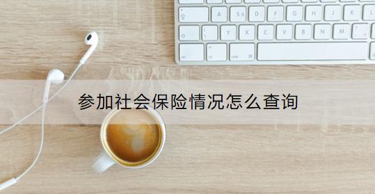 參加社會保險情況怎么查詢？查詢時需注意什么？