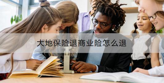 大地保險退商業(yè)險怎么退？有什么注意事項？