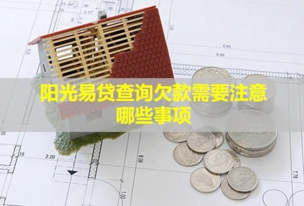 陽光易貸查詢欠款需要注意哪些事項？不還會有什么后果？
