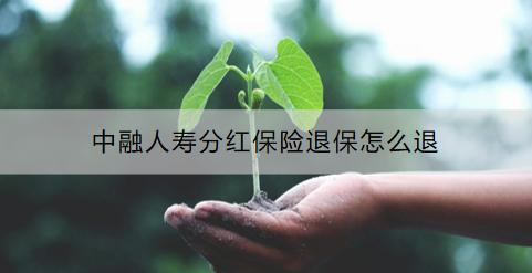 中融人壽分紅保險退保怎么退？要注意什么？
