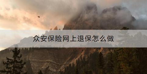 眾安保險(xiǎn)網(wǎng)上退保怎么做？退多少？