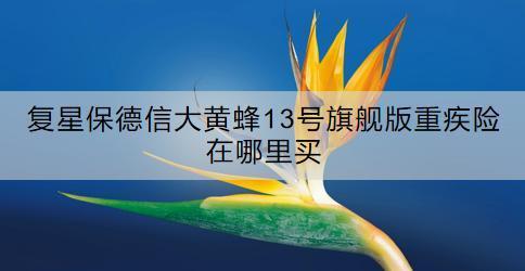 復(fù)星保德信大黃蜂13號旗艦版重疾險在哪里買？特點是什么？