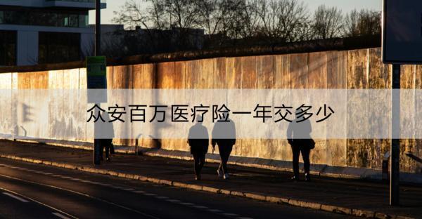 眾安百萬醫(yī)療險(xiǎn)一年交多少？如何購(gòu)買？