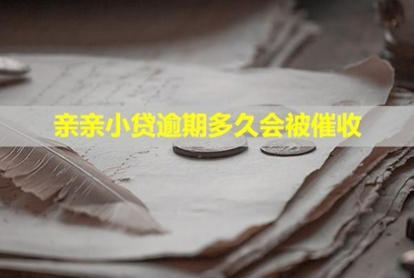 親親小貸逾期多久會被催收？
