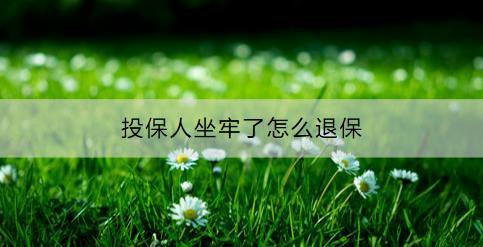 投保人坐牢了怎么退保？可以退多少？