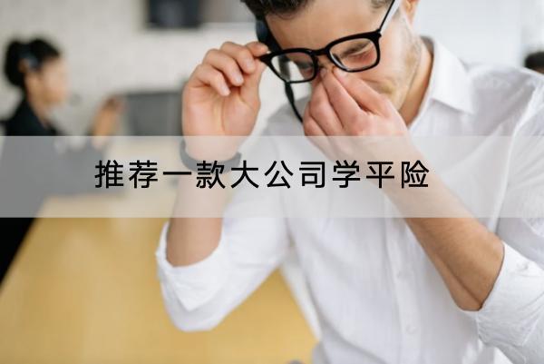 推薦一款大公司學平險，學平險一般多少錢？