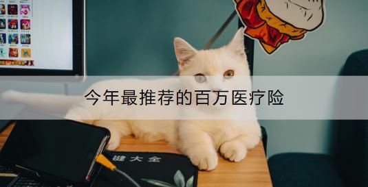 今年最推薦的百萬(wàn)醫(yī)療險(xiǎn)有哪些？購(gòu)買(mǎi)百萬(wàn)醫(yī)療險(xiǎn)有哪些建議？