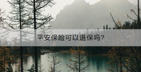 平安保險(xiǎn)可以退保嗎?退保退多少？