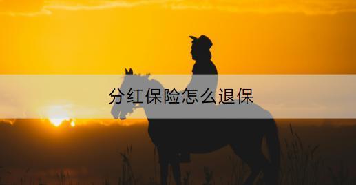 分紅保險(xiǎn)怎么退保？退?？梢酝硕嗌伲?/>
                                            </div>
                                        </a>
                                        <div   id=