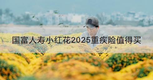 國富人壽小紅花2025重疾險值得買嗎？購買注意事項是什么？