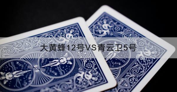大黃蜂12號(hào)VS青云衛(wèi)5號(hào)誰(shuí)更好？選購(gòu)保險(xiǎn)產(chǎn)品時(shí)應(yīng)注意什么？