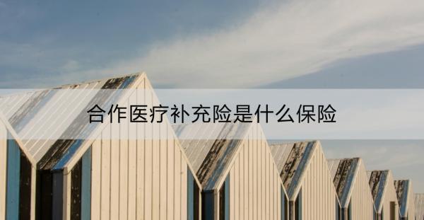 合作醫(yī)療補(bǔ)充險(xiǎn)是什么保險(xiǎn)