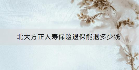 北大方正人壽保險退保能退多少錢？退保流程是什么？