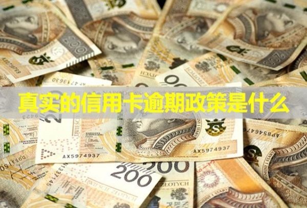 真實(shí)的信用卡逾期政策是什么