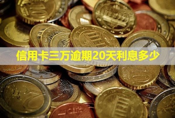 信用卡三萬逾期20天利息多少？會怎樣？