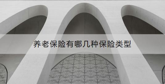 養(yǎng)老保險有哪幾種保險類型？如何購買？