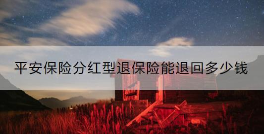 平安保險(xiǎn)分紅型退保險(xiǎn)能退回多少錢？怎么退？