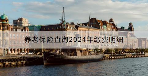 養(yǎng)老保險查詢2024年繳費明細：渠道是什么？注意事項是什么？