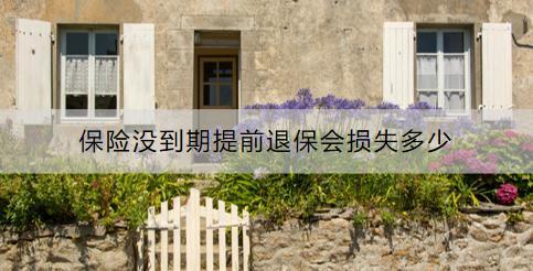 保險(xiǎn)沒到期提前退保會(huì)損失多少？怎么退？
