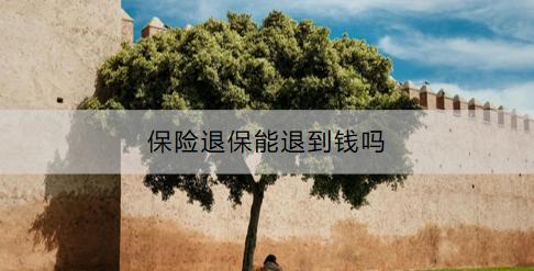 保險退保能退到錢嗎？要考慮什么？