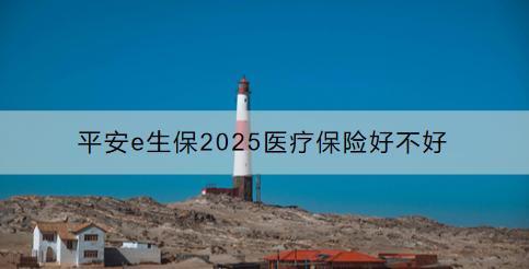 平安e生保2025醫(yī)療保險(xiǎn)好不好？怎么買？