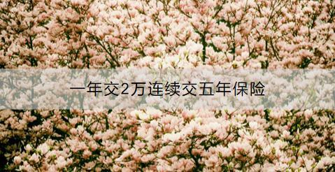 一年交2萬連續(xù)交五年保險