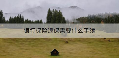 銀行保險退保需要什么手續(xù)？需要注意什么？