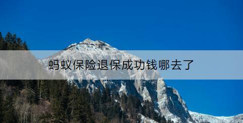 螞蟻保險怎么退保？螞蟻保險退保成功錢哪去了？