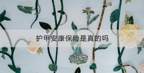 護(hù)甲安康保險(xiǎn)是真的嗎？如何購買？
