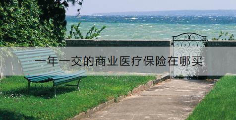 一年一交的商業(yè)醫(yī)療保險在哪買？購買要考慮什么？