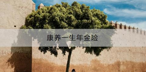 康養(yǎng)一生年金險