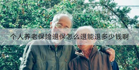 個人養(yǎng)老保險退保怎么退能退多少錢??？要注意什么？