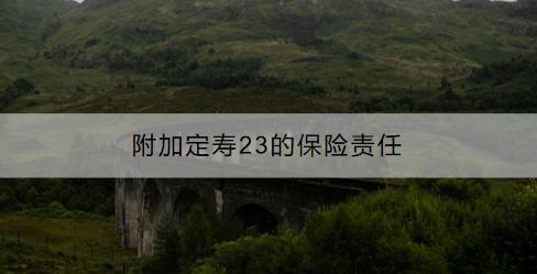 附加定壽23的保險責(zé)任是什么？投保規(guī)則是什么？