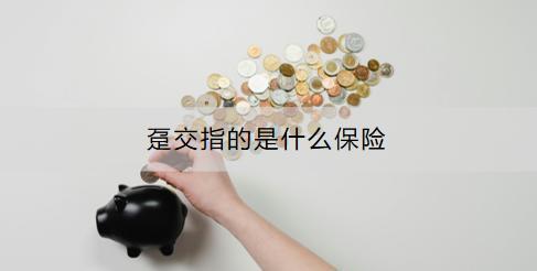 躉交指的是什么保險(xiǎn)？躉交適合那些產(chǎn)品？