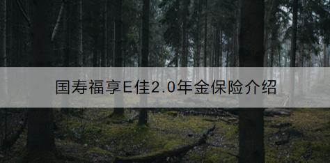 國壽福享E佳2.0年金保險（互聯(lián)網(wǎng)專屬）值得購買嗎？現(xiàn)金價值是多少？