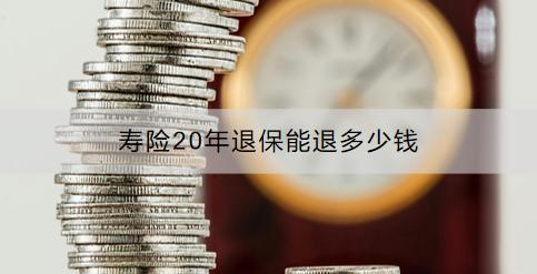 壽險(xiǎn)20年退保能退多少錢？退保流程是什么？