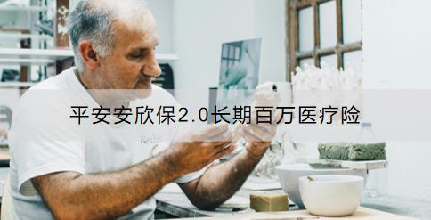 平安安欣保2.0長期百萬醫(yī)療險怎么樣？如何購買？