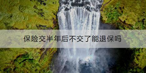 保險交半年后不交了能退保嗎