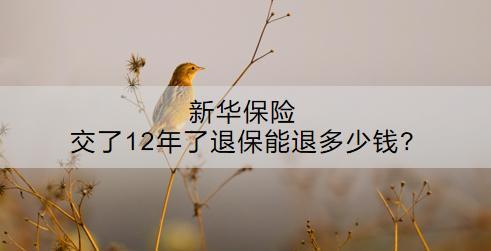 新華保險交了12年了退保能退多少錢?怎么退？