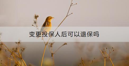 變更投保人后可以退保嗎？對保單有什么影響？