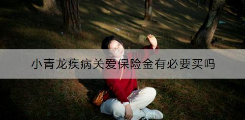 小青龍疾病關(guān)愛(ài)保險(xiǎn)金有必要買(mǎi)嗎