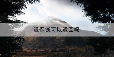 退保錢可以退回嗎？退保流程是什么？
